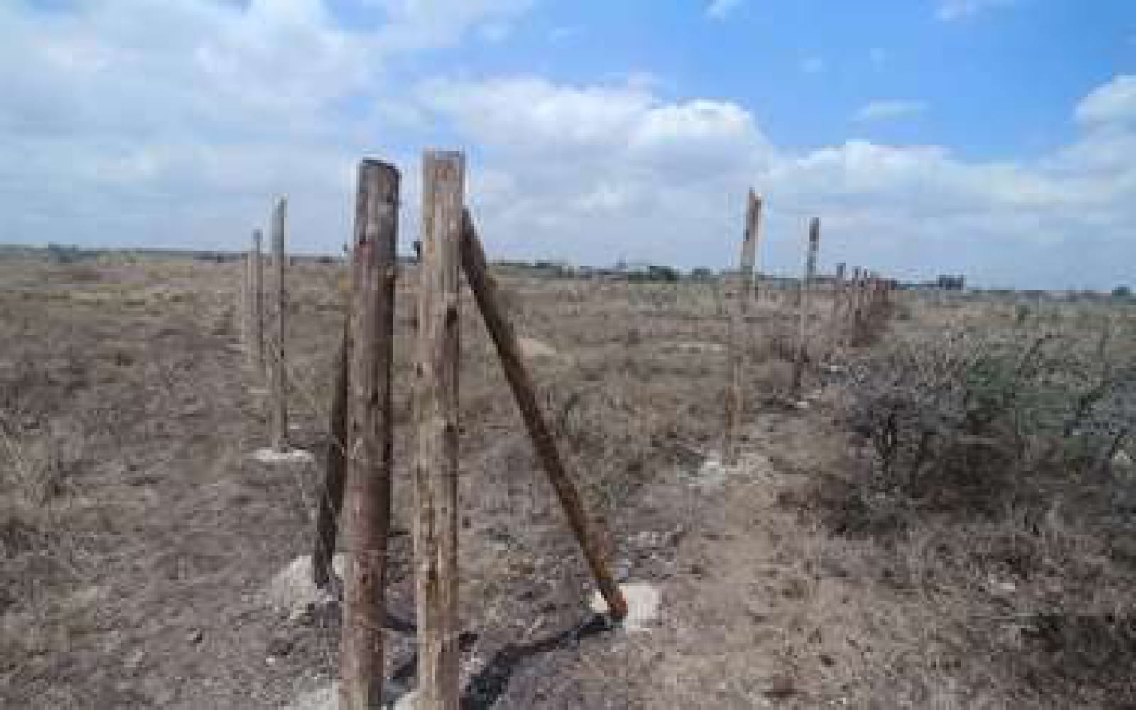 50 by 100 Plots For Sale in Syokimau Katani Ready tittle Deed!