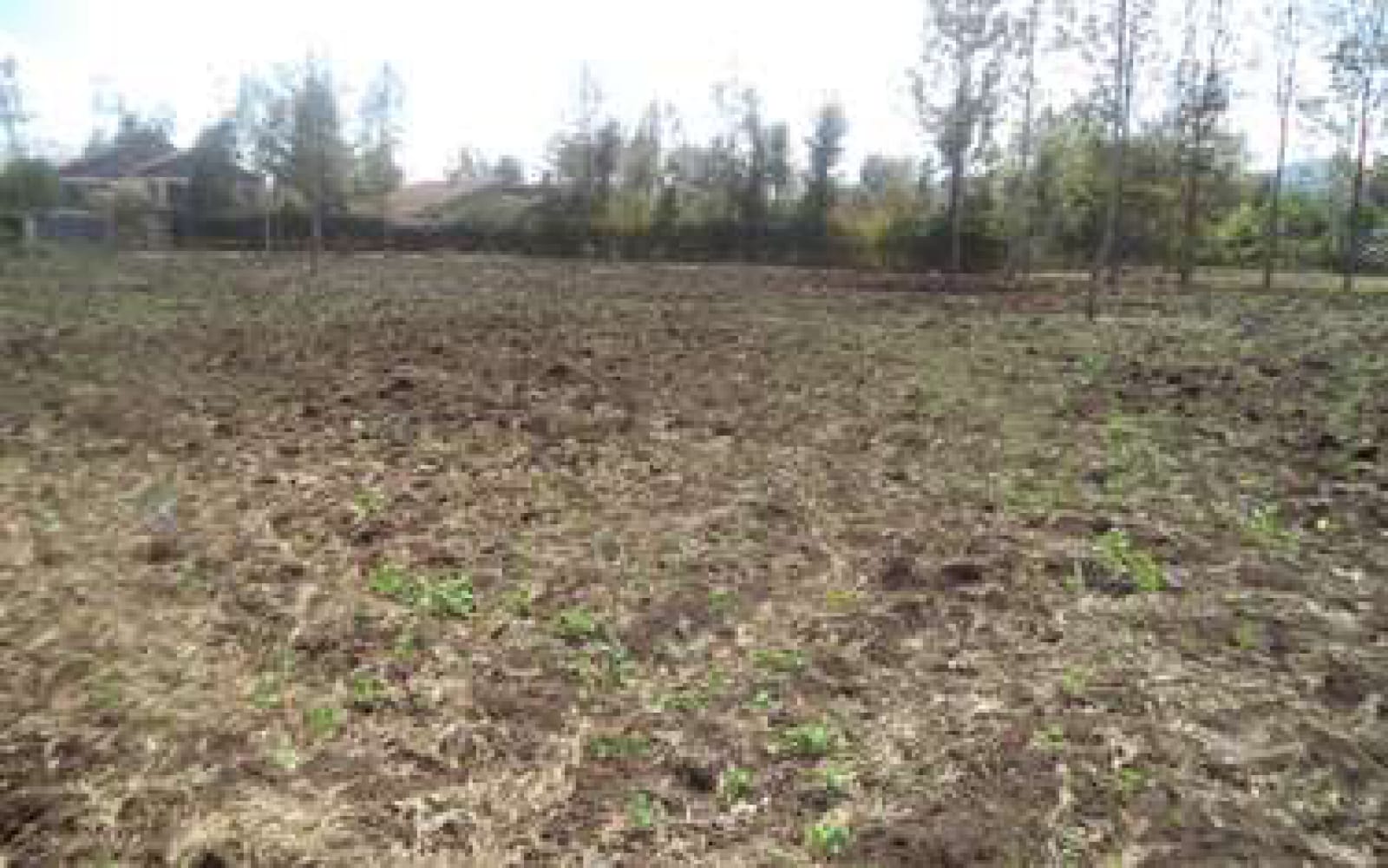 50 by 100 Plots For Sale in Syokimau Katani Ready tittle Deed!