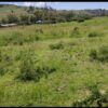 Land For Sale Real Estate-1/2 Acre Meririshwa Mbaruk Clean Tittle Deed  Cheapest! 3