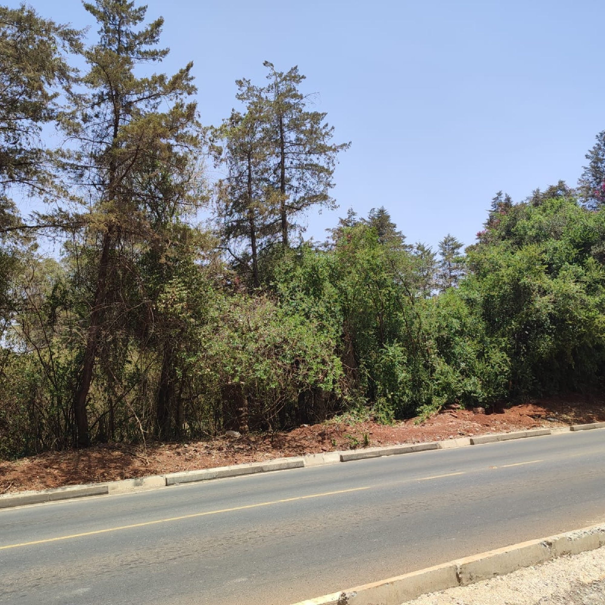 Karen land for sale 1 Acre Hardy Masai West Road Ready Tittle Deed Exclusive!
