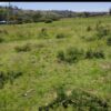 Land For Sale Real Estate-7 Acres Meririshwa Mbaruk Clean Tittle Deed NAKURU 5M per ACRE Cheapest! 1
