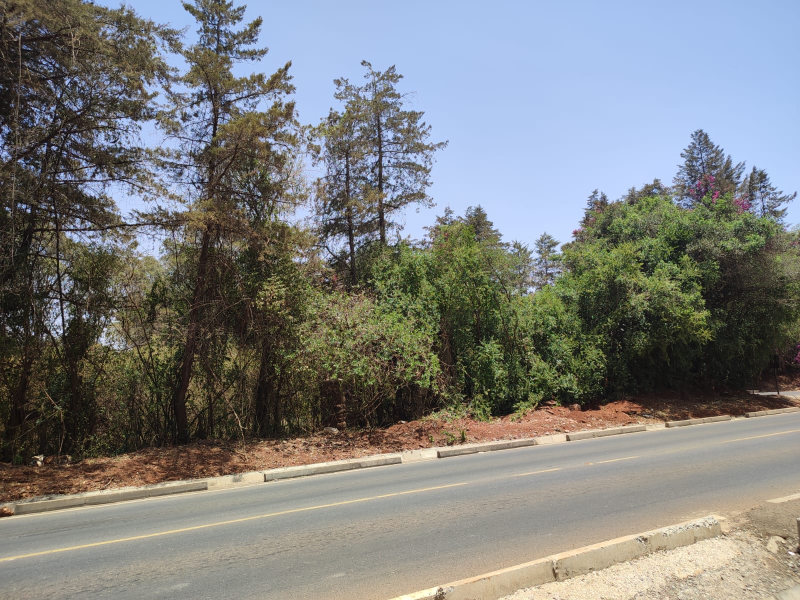 Karen land for sale 4 half acre plots in Hardy Masai West Road Ready Tittle Deed Exclusive!