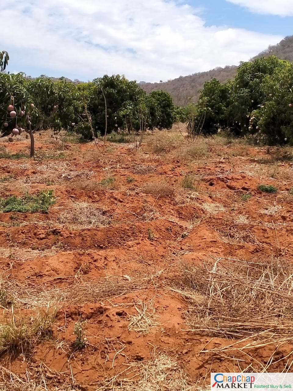 90 ACRES Land for Sale in kibwezi – Kitui road. CLEANEST CHEAPEST DEAL!