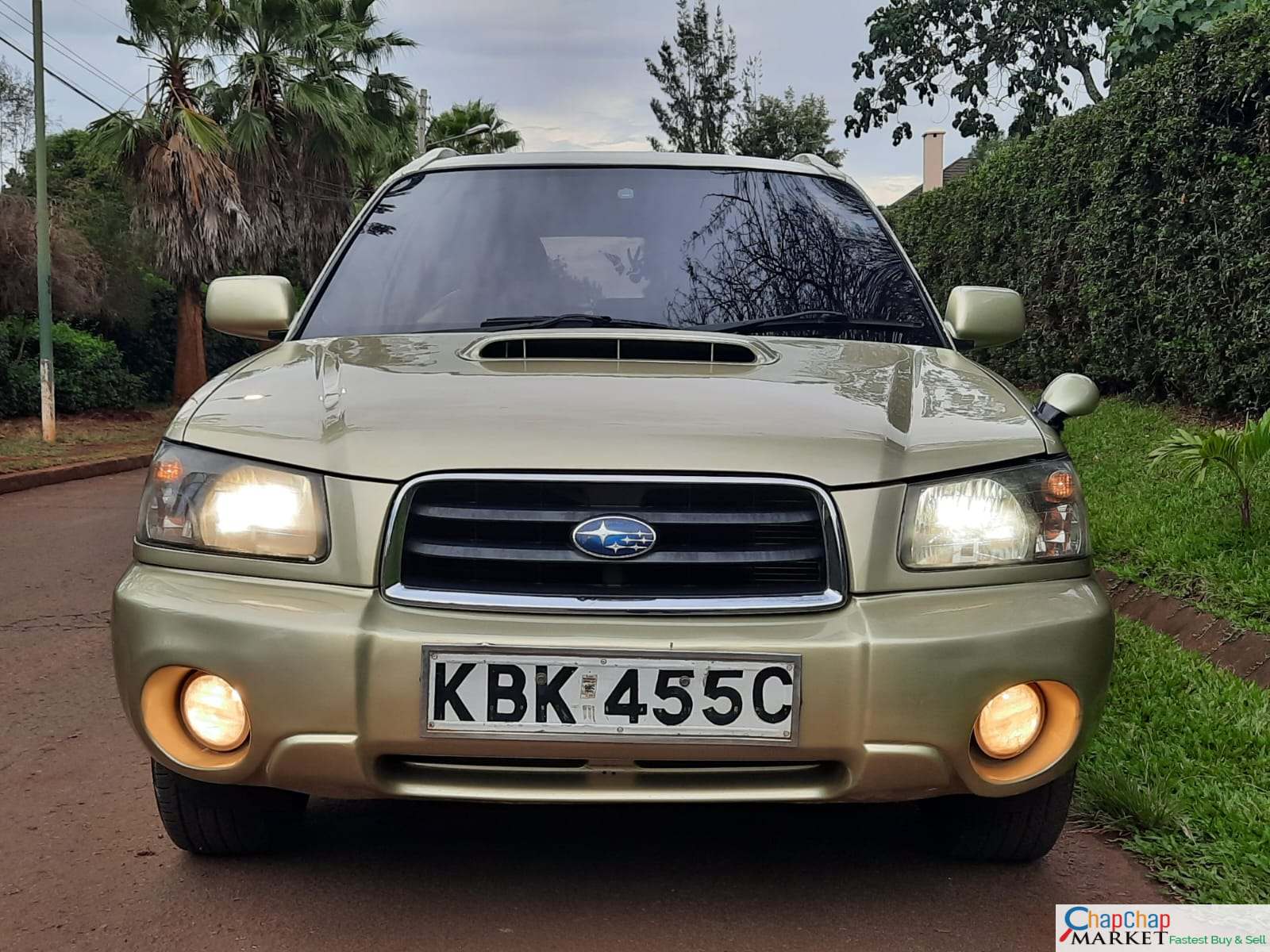 Subaru Forester SG5 You Pay 30% deposit Trade in Ok EXCLUSIVE
