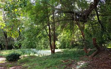 Land for Sale in Karen Giraffe Centre 1 One Acre with perimeter wall Quick SALE ready title deed