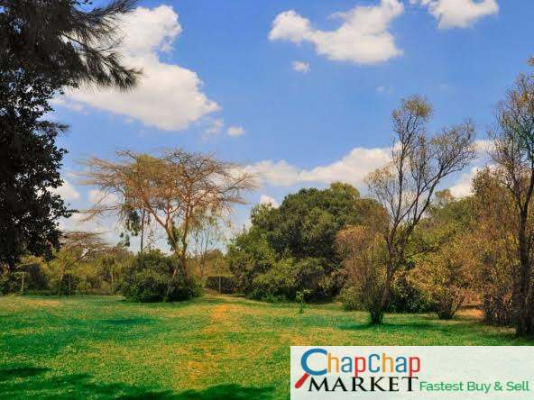Cars For Sale/Vehicles-Land For Sale in Karen Karen Hardy half 1/2 Acre Ndovu Road Clean Ready Title Deed