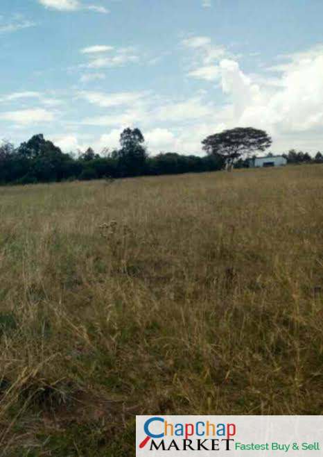 Land For Sale Real Estate-Land for Sale in Nakuru Near Airport 7 Acres Mbaruk Clean Title Deed CHEAPEST! 7