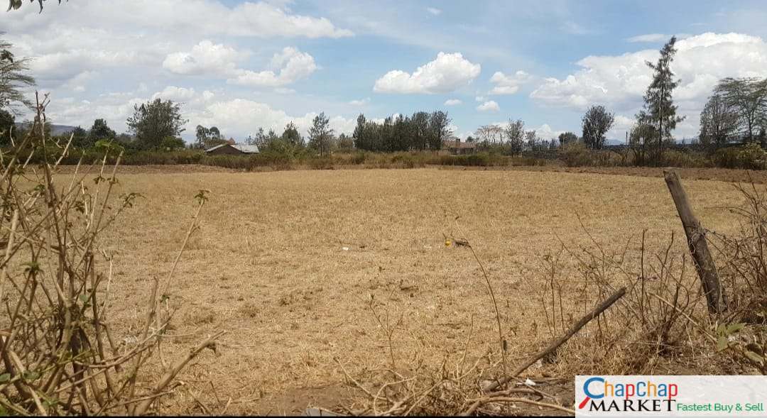 Nakuru Land for Sale Near Airport 1/4 Acre  Mbaruk PCEA Clean Title Deed CHEAPEST!