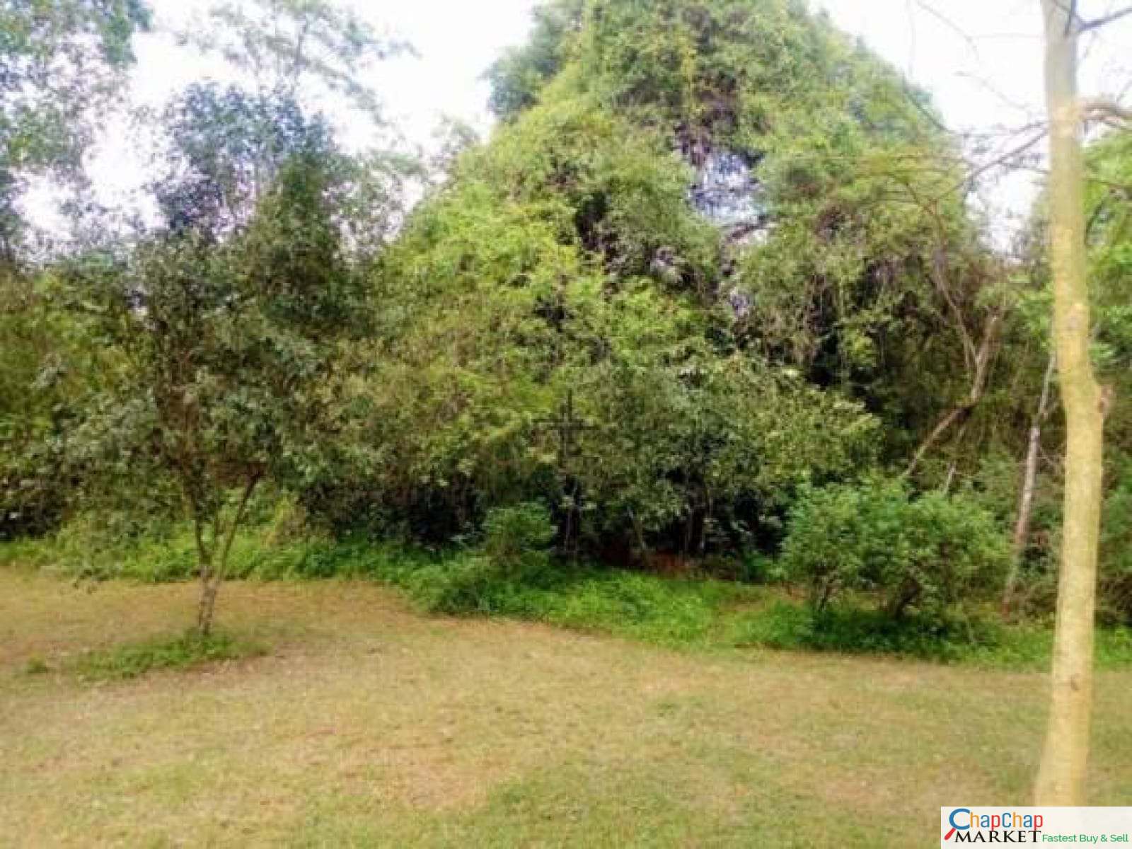 Land for sale in Karen Ready Title Deed QUICK SALEðŸ”¥1/2 acre gated community Kufuga Road