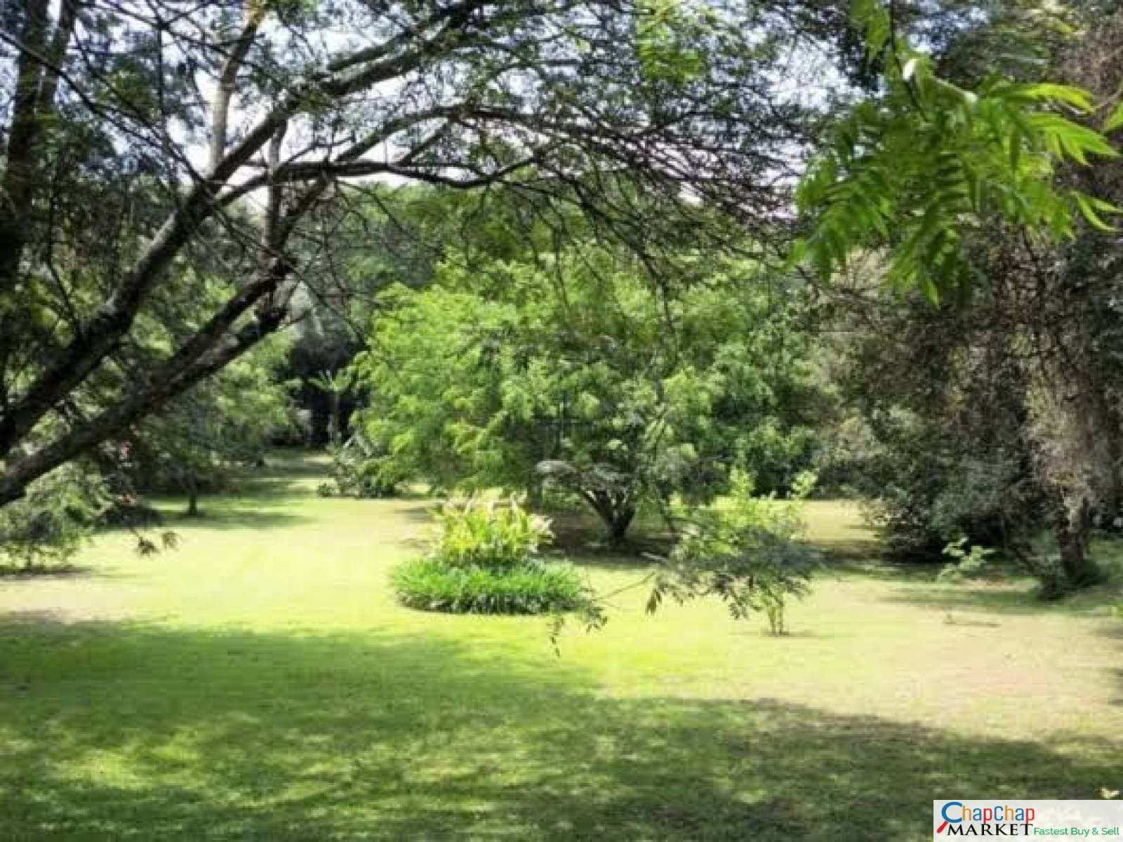 Real Estate-Karen land for sale Kuwinda Road 1/2 acre Ready Title Deed QUICK SALE