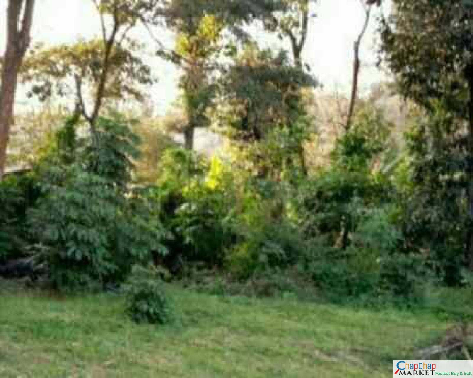 Land For Sale Real Estate-Land for sale in Karen Mokoyeti behind stedmak Half Acre each Ready Title Deed QUICK SALE 1/2 0.5 acre Exclusive 🔥