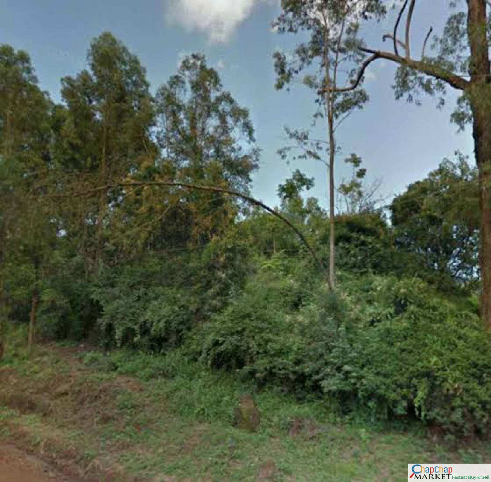 Real Estate Land For Sale-List of 100 Land For Sale In Karen Kenya Ready Clean Title Deed, House For Sale and Rent BEST PRICES acre Acres 30