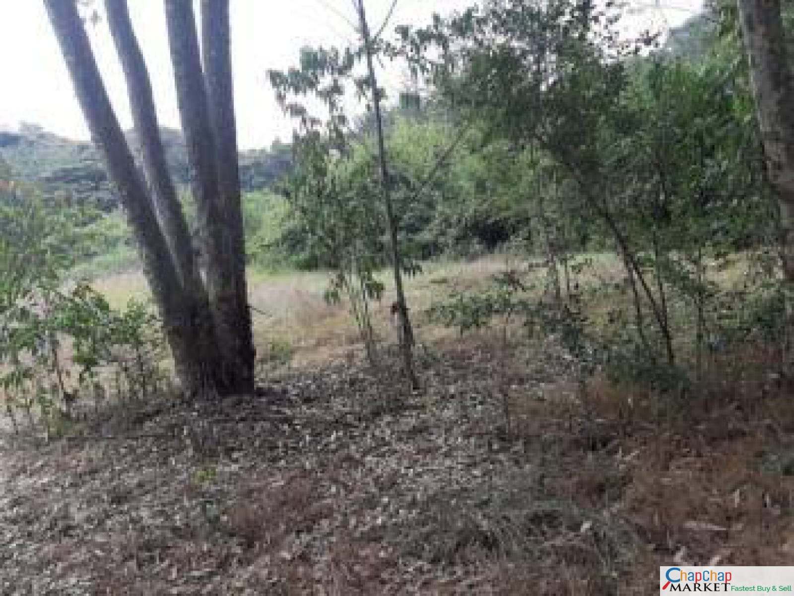 Land for sale in Karen 11.5 acres 60M per acre Ressurrection gardens