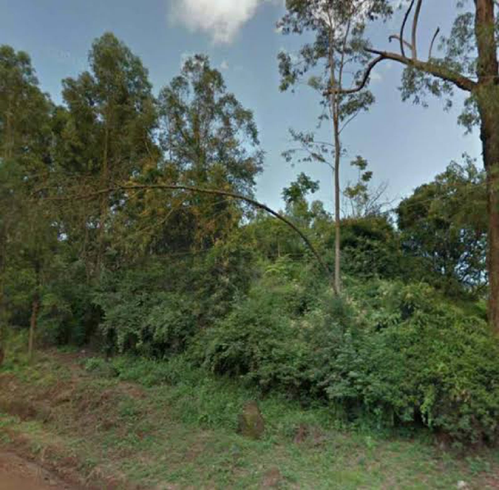 Land for sale in Karen KCB 5 Acres Ready Title Deed QUICK SALE Exclusive