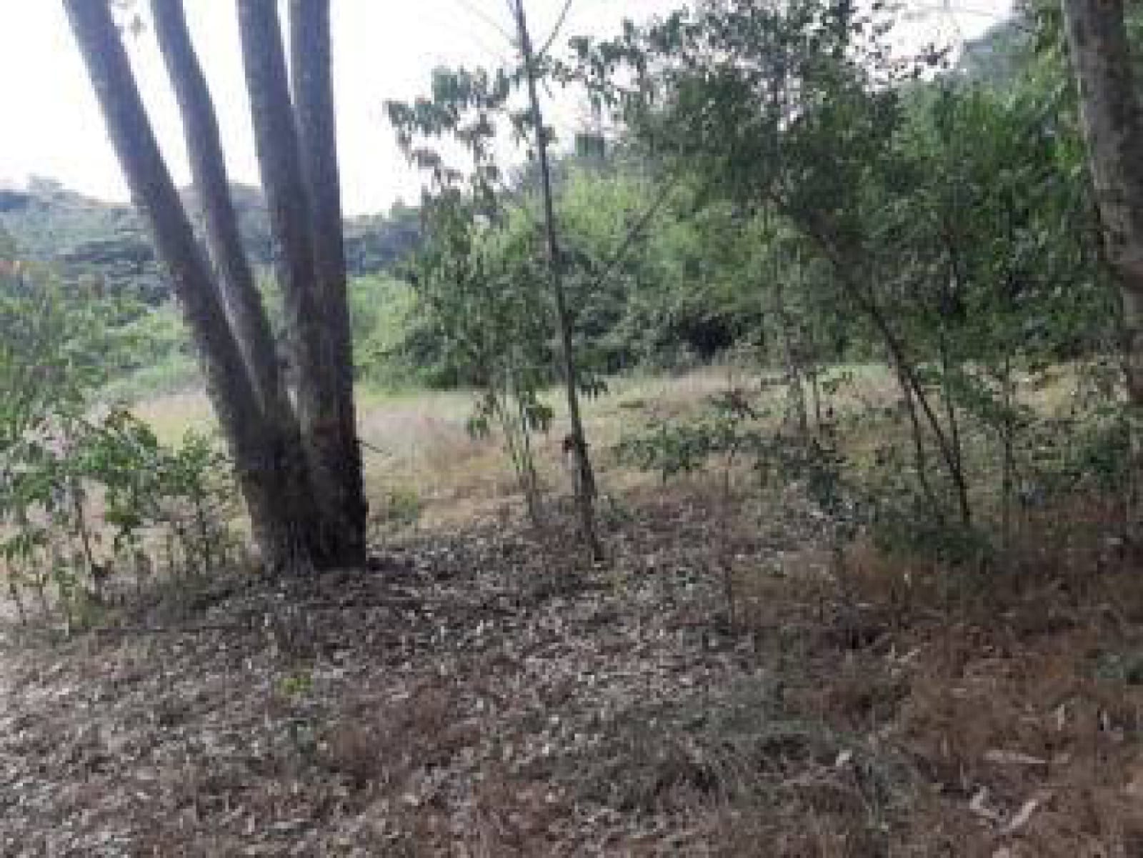 Land for sale in Karen KCB Red soil 1 Acre Ready Title Deed QUICK SALE Exclusive Red soil