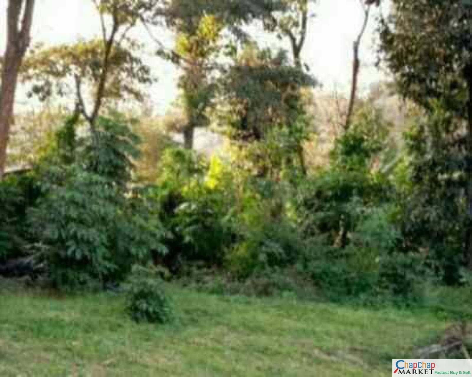 Land for sale in Karen Miotoni 3 Acres Ready Title Deed QUICK SALE EXCLUSIVE