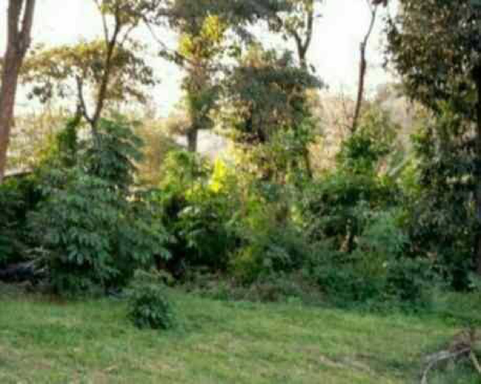 Land for sale in Karen KCB 1 Acre Ready Title Deed QUICK SALE Exclusive