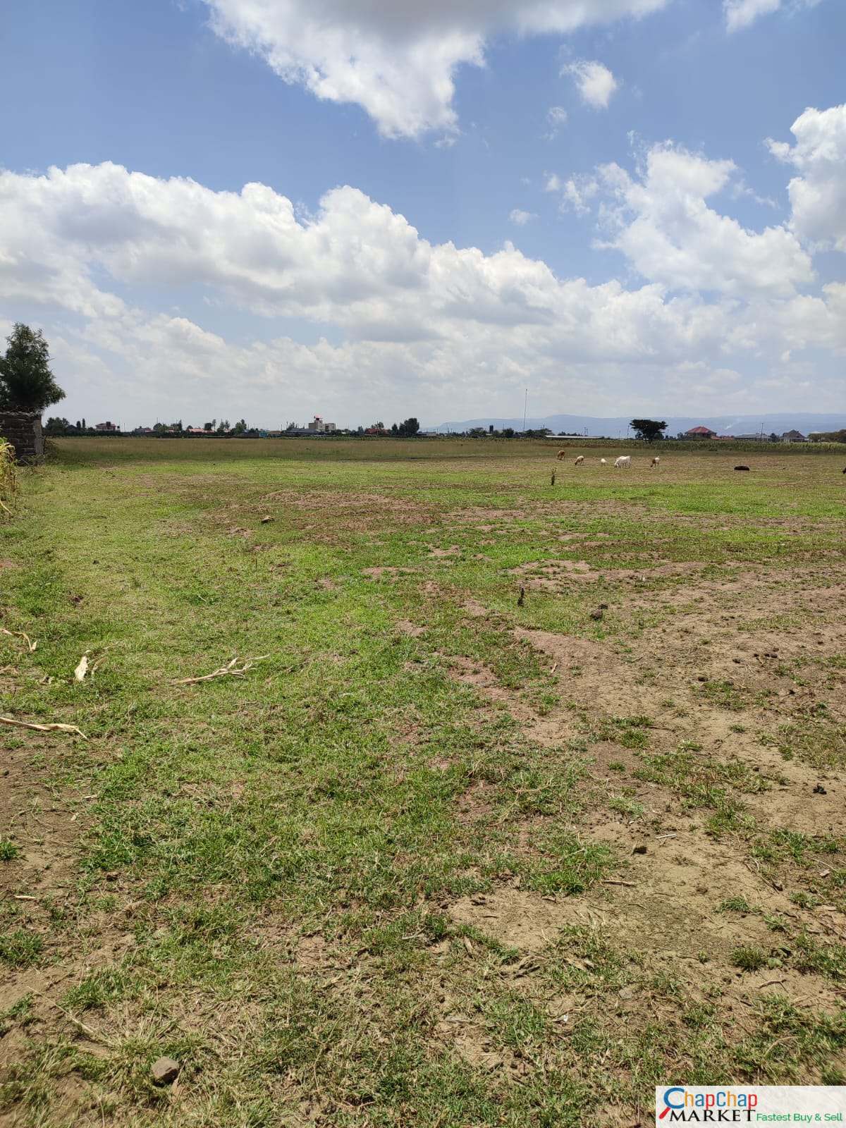 Land For Sale Real Estate-Land for Sale in Nakuru 3.5 ACRES QUICK SALE for sale MBARUK Clean Title Deed 2