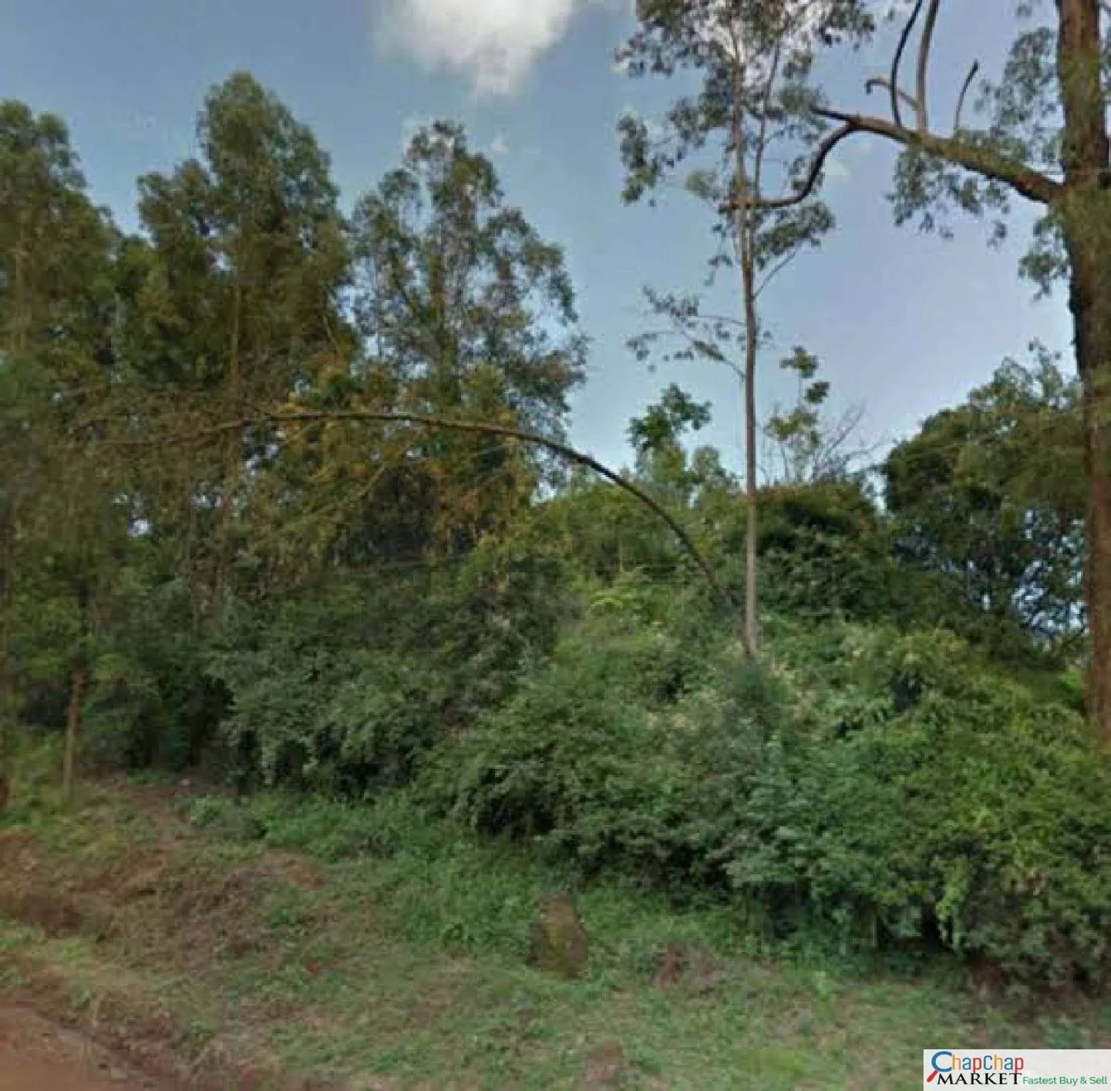 List Of 100 Land For Sale In Karen Kenya Ready Clean Title Deed, House